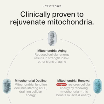 Timeline Mitopure Urolithin A Supplement Gummies