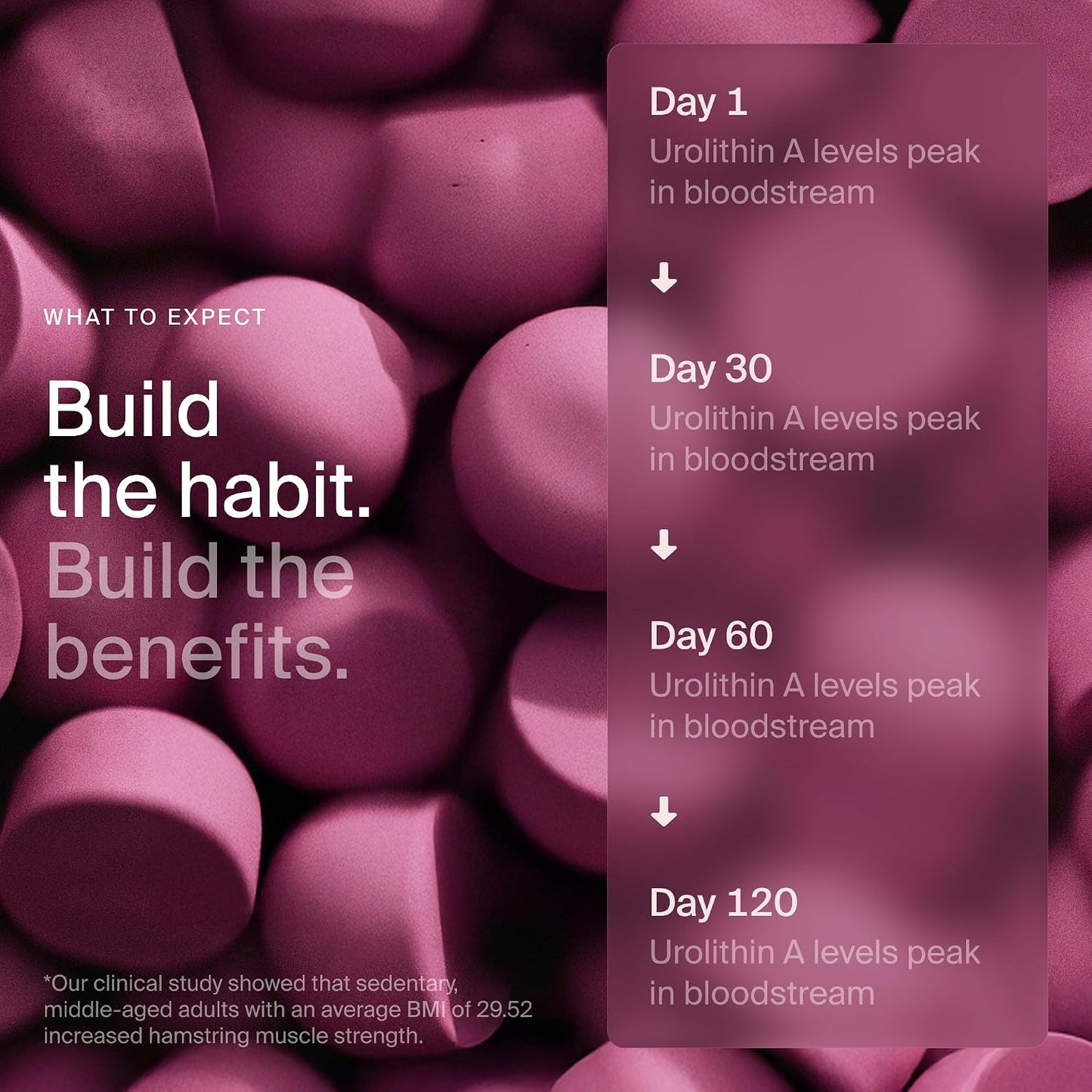 Timeline Mitopure Urolithin A Supplement Gummies