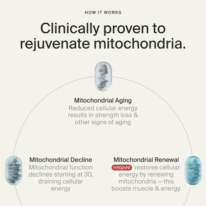 Timeline Mitopure Urolithin A Supplement Softgels