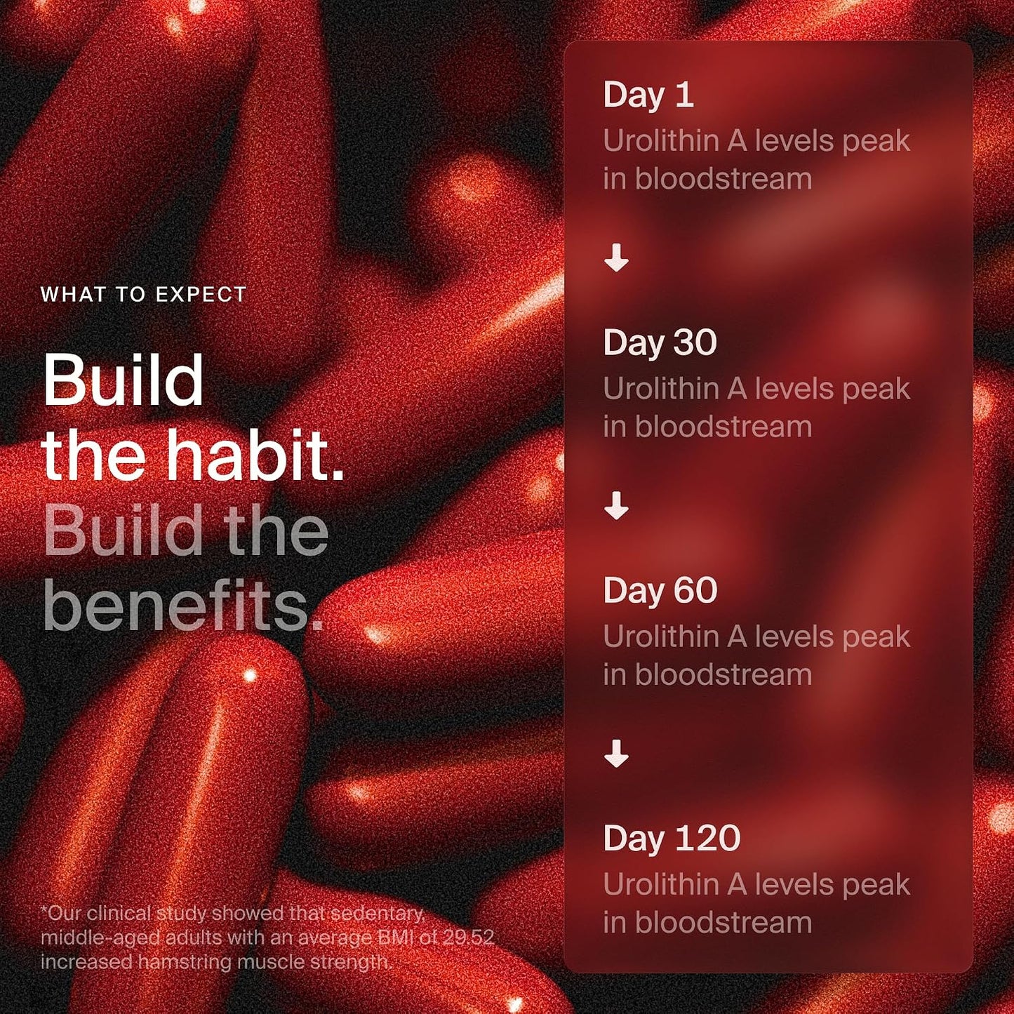 Timeline Mitopure Urolithin A Supplement Softgels