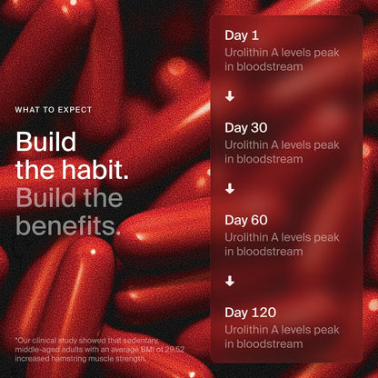 Timeline Mitopure Urolithin A Supplement Softgels