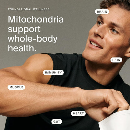 Timeline Mitopure Urolithin A Supplement Softgels