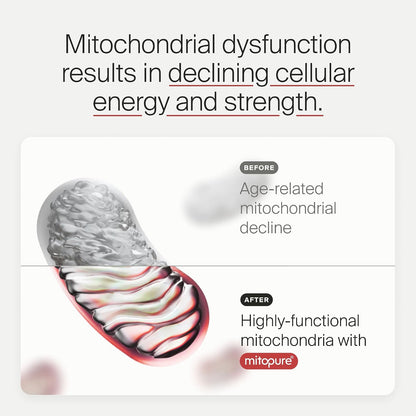Timeline Mitopure Urolithin A Supplement Powder 500 MG